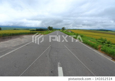 A rural landscape along a patchwork road (Biei Town, Hokkaido) A rural landscape along a patchwork road (Biei Town, Hokkaido) 141012514