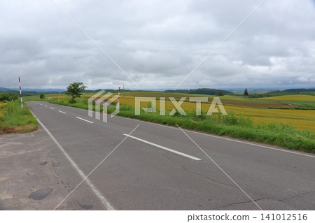 A rural landscape along a patchwork road (Biei Town, Hokkaido) 141012516
