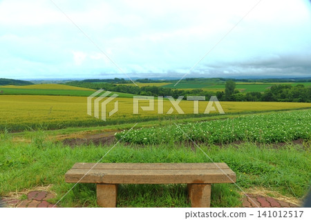 A rural landscape viewed from a patchwork road (Biei Town, Hokkaido) A rural landscape viewed from a patchwork road (Biei Town, Hokkaido) 141012517