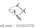 Line art illustration of a sunfish (Opah) on a white background. 141012570