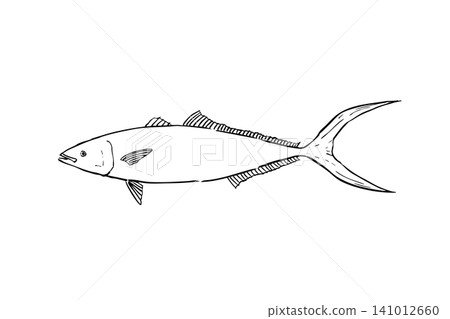 Line art illustration of a rainbow runner on a white background Line art illustration of a rainbow runner on a white background 141012660