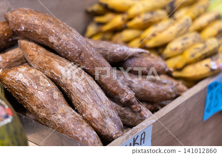 Yucca roots lie on counter of grocery store 141012860