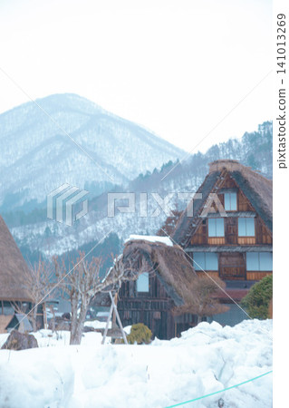 Gassho-zukuri in Shirakawa-go covered with snow Gassho-zukuri in Shirakawa-go covered with snow 141013269