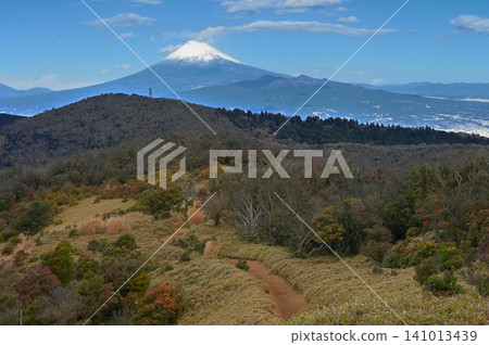 The snow-capped Mt. Fuji and Mt. Kinkan as seen from Mt. Kodaruma on the Izu Ridge Trail of the Izu Peninsula. The snow-capped Mt. Fuji and Mt. Kinkan as seen from Mt. Kodaruma on the Izu Ridge Trail of the Izu Peninsula. 141013439