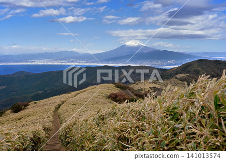 Mount Fuji in midwinter, towering at the end of the Izu Mountain Ridge Trail, as seen from Mount Daruma on the Izu Peninsula. Mount Fuji in midwinter, towering at the end of the Izu Mountain Ridge Trail, as seen from Mount Daruma on the Izu Peninsula. 141013574