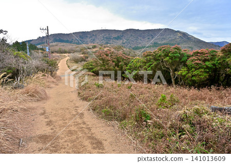 伊豆半島伊豆山脊步道:從金冠山眺望小達摩山。 伊豆半島伊豆山脊步道:從金冠山眺望小達摩山。 141013609