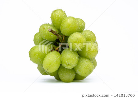 White background photo of wet shine muscat White background photo of wet shine muscat 141013700