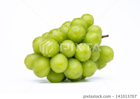 White background photo of wet shine muscat White background photo of wet shine muscat 141013707