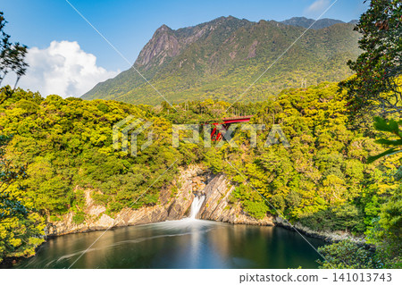 Yakushima Island: Toroki Falls and Mt. Motchom (Spring) 141013743