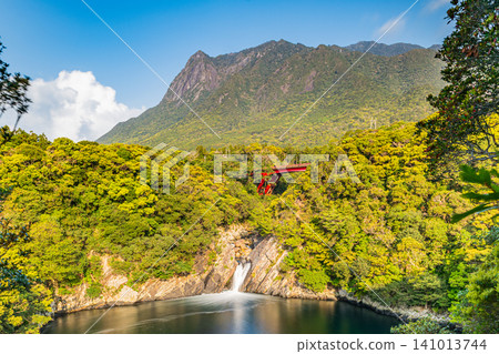 屋久島:托羅基瀑布和莫喬姆山(春季) 屋久島:托羅基瀑布和莫喬姆山(春季) 141013744