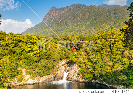 屋久島:托羅基瀑布和莫喬姆山(春季) 屋久島:托羅基瀑布和莫喬姆山(春季) 141013745