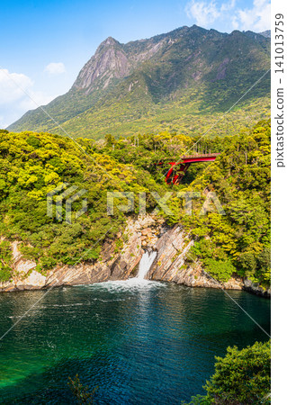 屋久島:托羅基瀑布和莫喬姆山(春季) 屋久島:托羅基瀑布和莫喬姆山(春季) 141013759