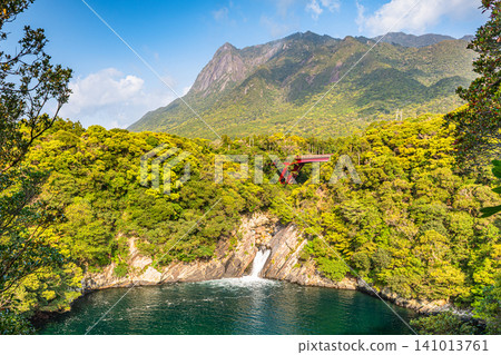 屋久島:托羅基瀑布和莫喬姆山(春季) 屋久島:托羅基瀑布和莫喬姆山(春季) 141013761