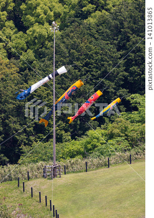 Carp streamer Carp streamer 141013865