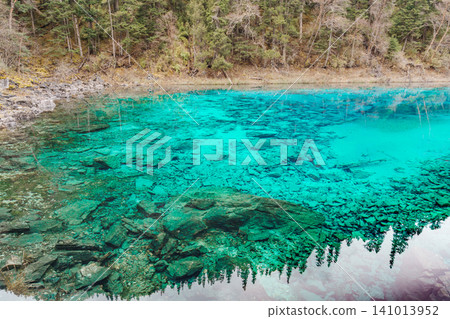 Scenery Jiuzhaigou national park in Sichuan, China. Beautiful Colorful Pond in Autumn season. Famous Landmark and Vacation near Chengdu, China. Asia travel concept Scenery Jiuzhaigou national park in Sichuan, China. Beautiful Colorful Pond in Autumn season. Famous Landmark and Vacation near Chengdu, China. Asia travel concept 141013952