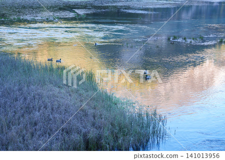Scenery Jiuzhaigou national park in Sichuan, China. Beautiful of Arrow Bamboo Lake and snow mountain in Autumn season. Famous Landmark and Vacation near Chengdu, China. Asia travel concept Scenery Jiuzhaigou national park in Sichuan, China. Beautiful of Arrow Bamboo Lake and snow mountain in Autumn season. Famous Landmark and Vacation near Chengdu, China. Asia travel concept 141013956