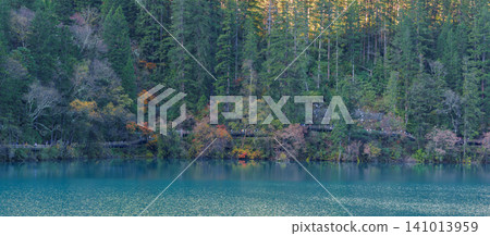 Scenery Jiuzhaigou national park in Sichuan, China. Beautiful of Arrow Bamboo Lake and snow mountain in Autumn season. Famous Landmark and Vacation near Chengdu, China. Asia travel concept Scenery Jiuzhaigou national park in Sichuan, China. Beautiful of Arrow Bamboo Lake and snow mountain in Autumn season. Famous Landmark and Vacation near Chengdu, China. Asia travel concept 141013959