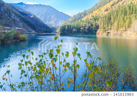 Scenery Jiuzhaigou national park in Sichuan, China. Beautiful of Arrow Bamboo Lake and snow mountain in Autumn season. Famous Landmark and Vacation near Chengdu, China. Asia travel concept 141013963