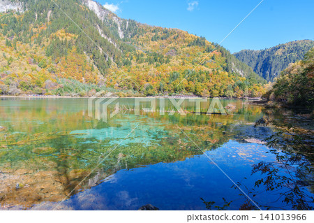 Scenery Jiuzhaigou national park in Sichuan, China. Beautiful Five Flower Lake in Autumn season. Famous Landmark and Vacation near Chengdu, China. Asia travel concept Scenery Jiuzhaigou national park in Sichuan, China. Beautiful Five Flower Lake in Autumn season. Famous Landmark and Vacation near Chengdu, China. Asia travel concept 141013966