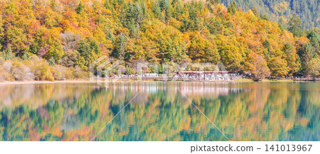 Scenery Jiuzhaigou national park in Sichuan, China. Beautiful Five Flower Lake in Autumn season. Famous Landmark and Vacation near Chengdu, China. Asia travel concept Scenery Jiuzhaigou national park in Sichuan, China. Beautiful Five Flower Lake in Autumn season. Famous Landmark and Vacation near Chengdu, China. Asia travel concept 141013967