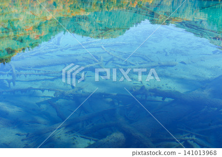 Scenery Jiuzhaigou national park in Sichuan, China. Beautiful clear water of Five Flower Lake in Autumn season. Famous Landmark and Vacation near Chengdu, China. Asia travel concept Scenery Jiuzhaigou national park in Sichuan, China. Beautiful clear water of Five Flower Lake in Autumn season. Famous Landmark and Vacation near Chengdu, China. Asia travel concept 141013968