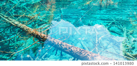 Scenery Jiuzhaigou national park in Sichuan, China. Beautiful clear water of Five Flower Lake in Autumn season. Famous Landmark and Vacation near Chengdu, China. Asia travel concept Scenery Jiuzhaigou national park in Sichuan, China. Beautiful clear water of Five Flower Lake in Autumn season. Famous Landmark and Vacation near Chengdu, China. Asia travel concept 141013980