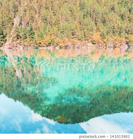 Scenery Jiuzhaigou national park in Sichuan, China. Beautiful of Mirror Lake in Autumn season. Famous Landmark and Vacation near Chengdu, China. Asia travel concept 141013981