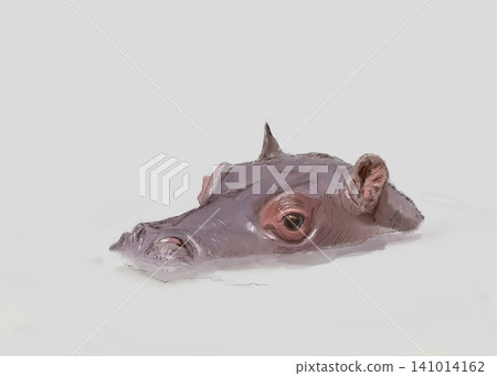 A hippopotamus sticking its head out of the river A hippopotamus sticking its head out of the river 141014162