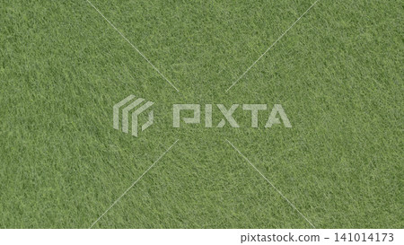 Japanese paper background material (moss color) Japanese paper background material (moss color) 141014173