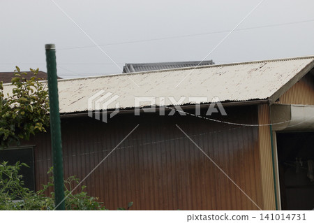 Fields designed to protect against crows Fields designed to protect against crows 141014731