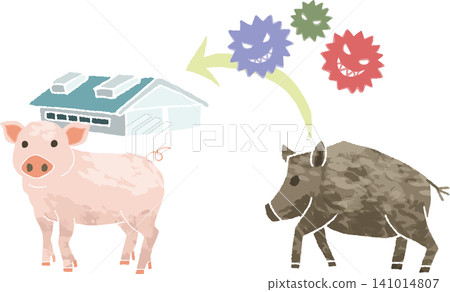 An illustrated diagram illustrating the transmission route from wild boars to pigs in a pig farm (swine fever, infection risk, disease control measures, vector). An illustrated diagram illustrating the transmission route from wild boars to pigs in a pig farm (swine fever, infection risk, disease control measures, vector). 141014807