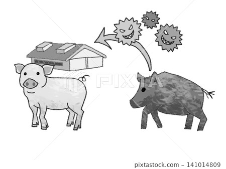 An illustrative diagram (black and white, simple, white background JPG) explaining the transmission route from wild boars to pigs. An illustrative diagram (black and white, simple, white background JPG) explaining the transmission route from wild boars to pigs. 141014809