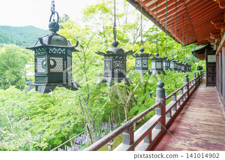 View of the lanterns surrounding the main hall of Tanzan Shrine in Sakurai City, Nara Prefecture, amidst the fresh greenery. 141014902
