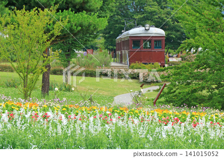 Azumino Chihiro Park Summer Flower Garden Azumino Chihiro Park Summer Flower Garden 141015052