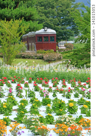 Azumino Chihiro Park Summer Flower Garden Azumino Chihiro Park Summer Flower Garden 141015053