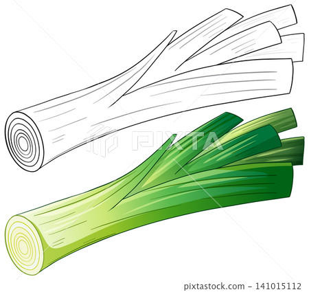 Vector Illustration of Fresh Leek Vegetable in Color and Outline Vector Illustration of Fresh Leek Vegetable in Color and Outline 141015112