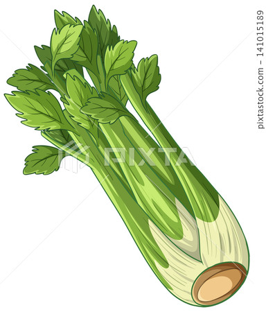 Fresh Green Celery Stalk Vector Illustration Isolated on White Background Fresh Green Celery Stalk Vector Illustration Isolated on White Background 141015189