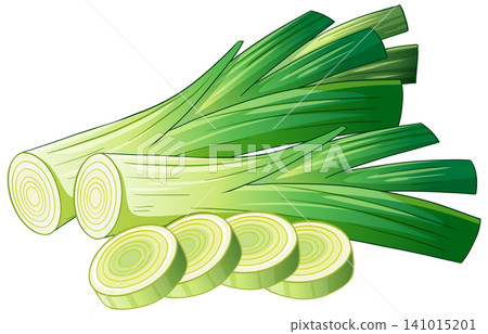 Fresh Green Leek Vector Illustration with Sliced Vegetable Rounds Fresh Green Leek Vector Illustration with Sliced Vegetable Rounds 141015201