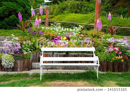 A white bench surrounded by brightly colored early summer flowers A white bench surrounded by brightly colored early summer flowers 141015385