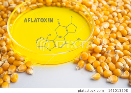 Corn chemical molecular structure of aflatoxin. Corn chemical molecular structure of aflatoxin. 141015398