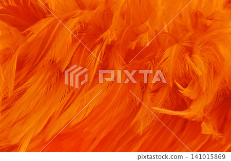 Beautiful orange color bird feathers pattern texture background. Beautiful orange color bird feathers pattern texture background. 141015869