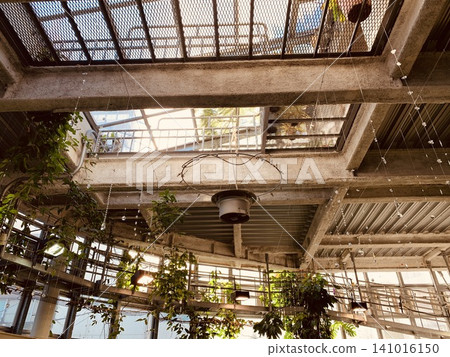 Skylight 141016150