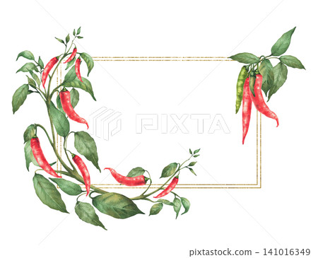 Hot Chili pepper plant frame. Watercolor painting of botanical red pods and green leaves on the branch Illustration of vegetables gold framed rectangular template for food seasoning. Isolated on white 141016349