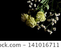 12朵花在黑色背景下格外醒目 141016711