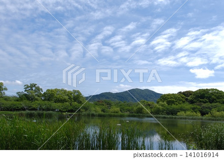 The mountains reflected in the pond and the vast blue sky 141016914