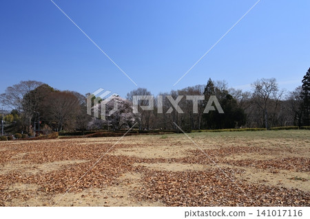 從埼玉縣大里郡寄居町眺望八形城遺址。 從埼玉縣大里郡寄居町眺望八形城遺址。 141017116