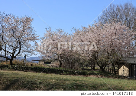 從埼玉縣大里郡寄居町眺望八形城遺址。 從埼玉縣大里郡寄居町眺望八形城遺址。 141017118