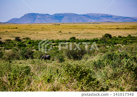 Kenya Photographers By Antony Trivet Photography Kenya Photographers By Antony Trivet Photography 141017348