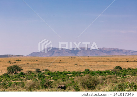 Kenya Photographers By Antony Trivet Photography Kenya Photographers By Antony Trivet Photography 141017349