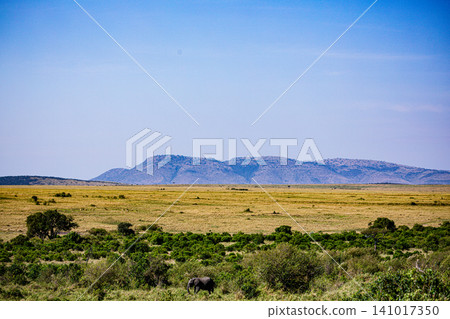 Kenya Photographers By Antony Trivet Photography Kenya Photographers By Antony Trivet Photography 141017350